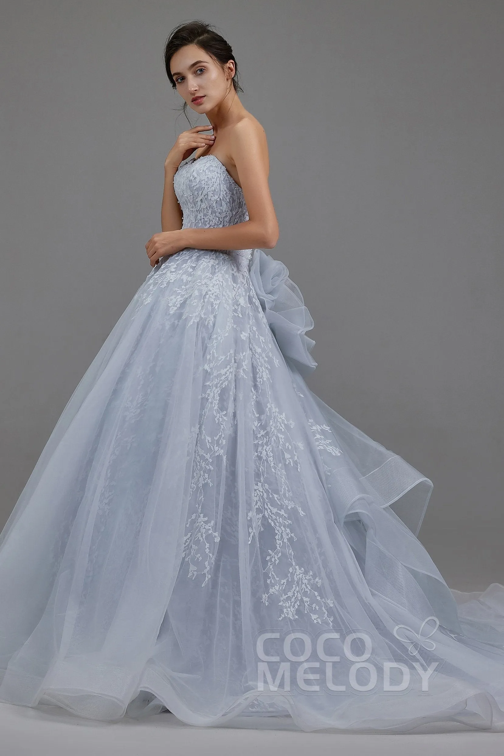 A-Line Chapel Train Tulle Wedding Dress LD5054