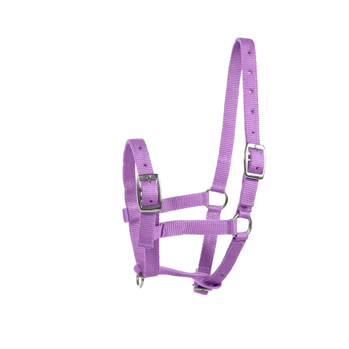 Nylon Foal Halter