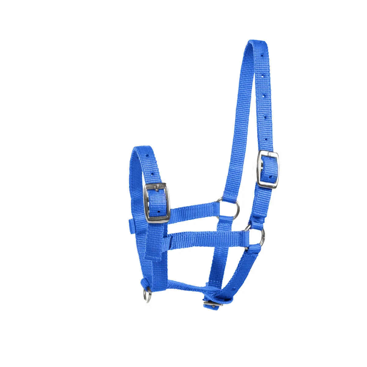 Nylon Foal Halter