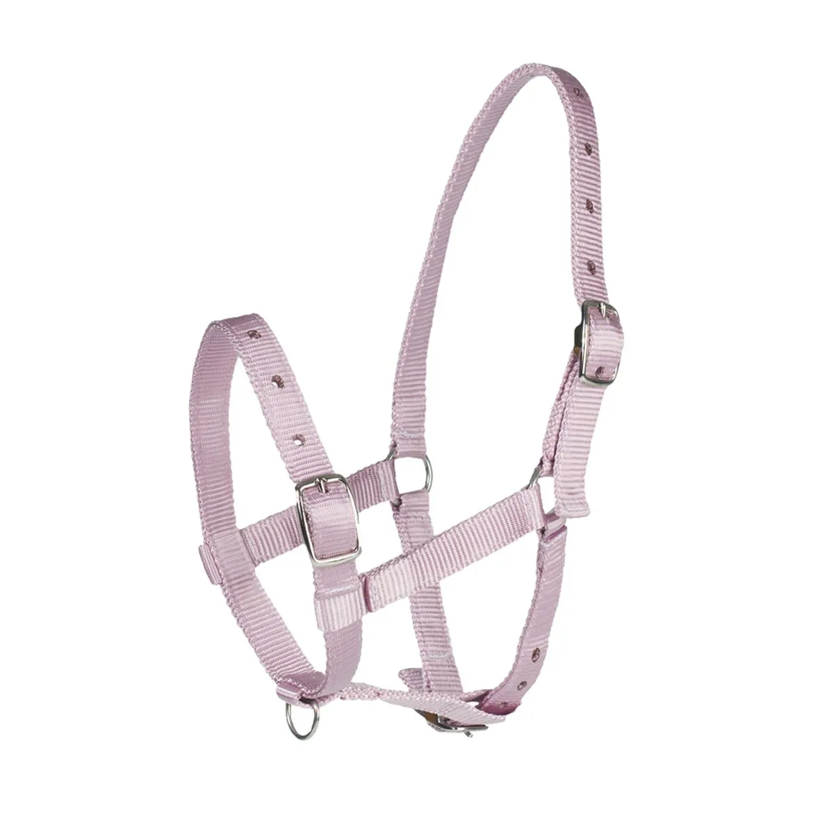 Nylon Foal Halter