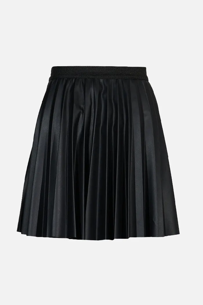 Pleated Skirt